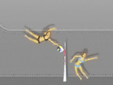 Ragdoll Volleyball